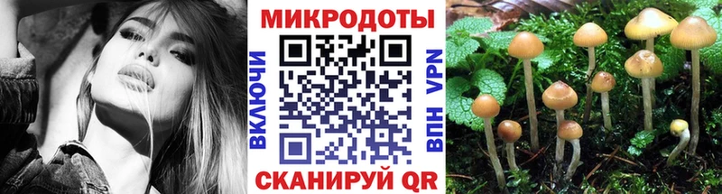 Псилоцибиновые грибы мицелий Купить где Магнитогорск